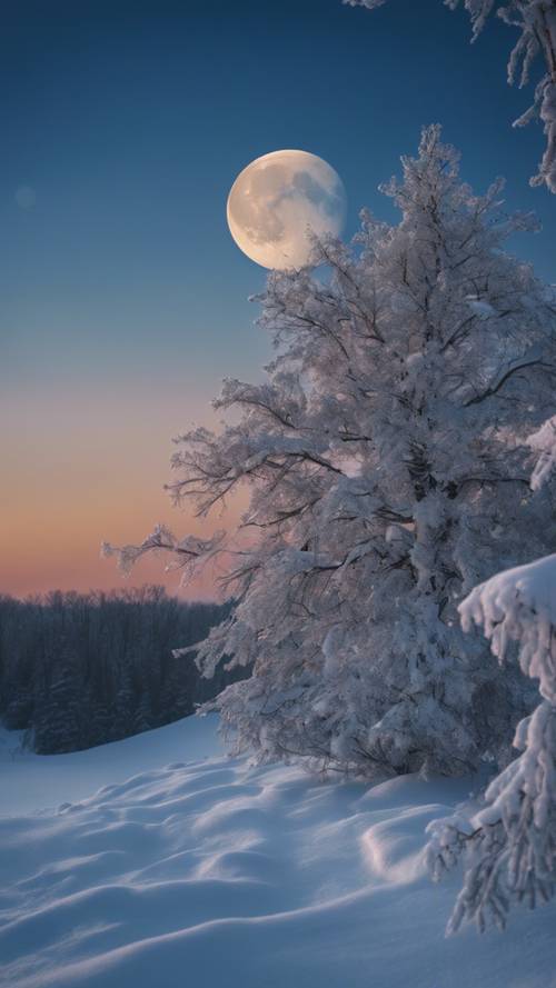 这是一张月亮在白雪覆盖的荒野上空飘浮的空灵照片，在深蓝色的夜空中闪闪发光。