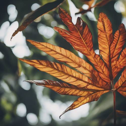 가을의 풍부한 색채로 장식된 열대 나뭇잎입니다.