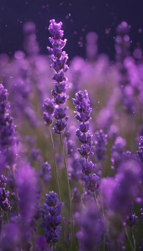 A thick blanket of lavender swaying amidst a noisy wind under a dark purple sky.