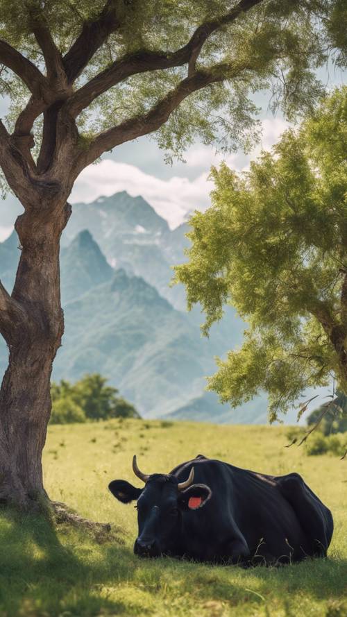 A black cow with unique print lying under a shady tree in an open grassland with distant mountains.