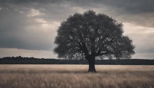 Un grande albero solitario in mezzo a un campo aperto di erba nera.