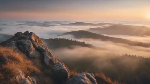 A July sunrise viewed from the peak of a mountain blanketed in fog.