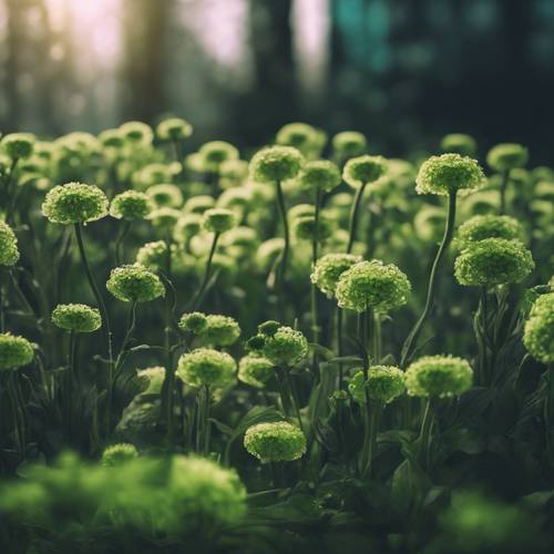 Un monde fantastique où seules poussent des fleurs vert fluo.