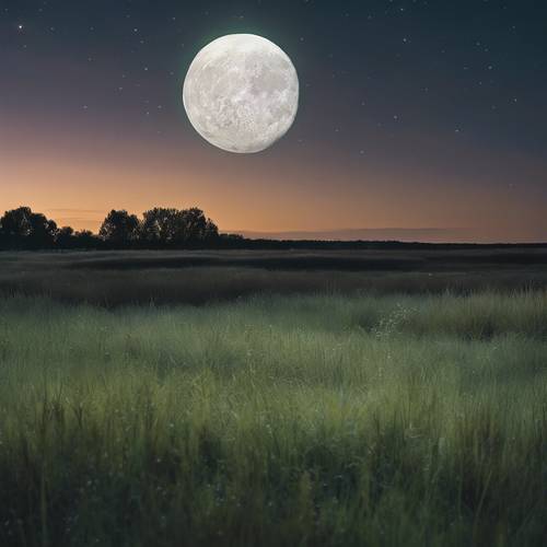 一轮满月照亮了平静安详的大草原，只有草儿的沙沙声打破了夜晚的宁静。