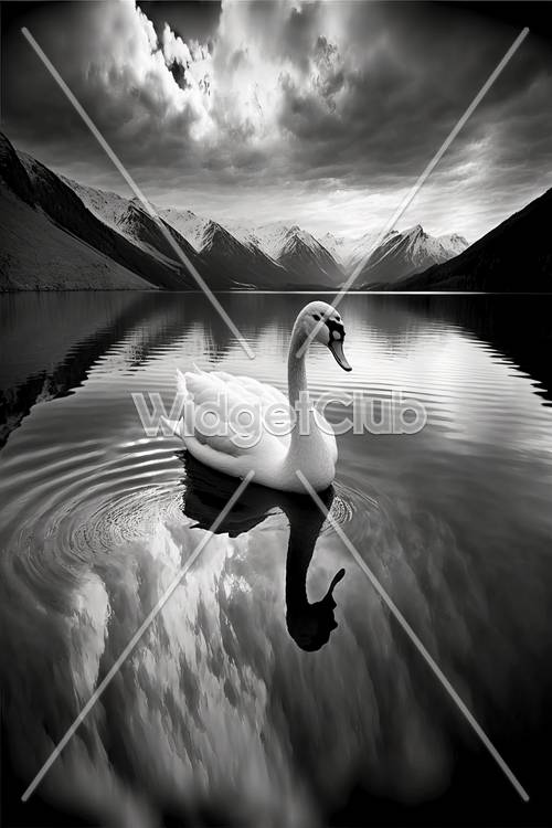 Graceful Swan on a Mountain Lake