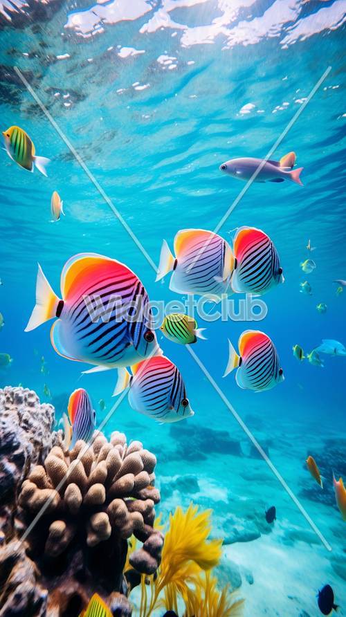 Colorful Tropical Fish in Crystal Clear Ocean Water