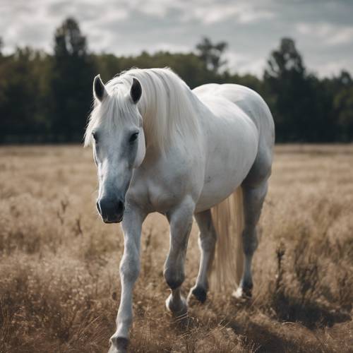 حصان أبيض مهيب يتجول في الحقل، ويتحول جسده إلى أنماط منقوشة داكنة.