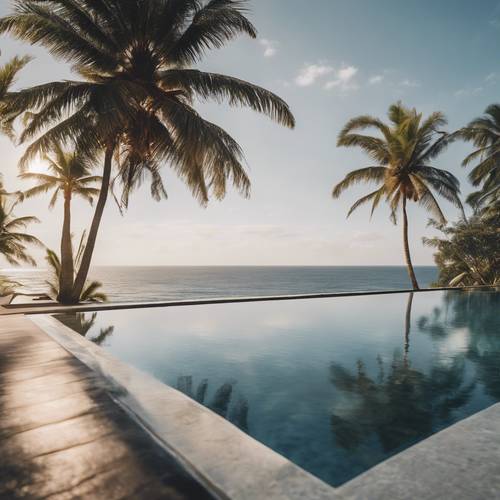 Una lussuosa piscina a sfioro affacciata sull&#39;oceano, con le palme che ondeggiano in primo piano.