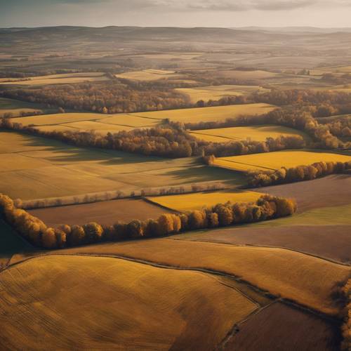 An expanse of checkered yellow and brown autumn fields seen from the top of a hill.