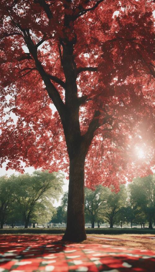 Colcha de patchwork con estampado de cuadros rojos y blancos extendida bajo la sombra de un árbol en un parque soleado.