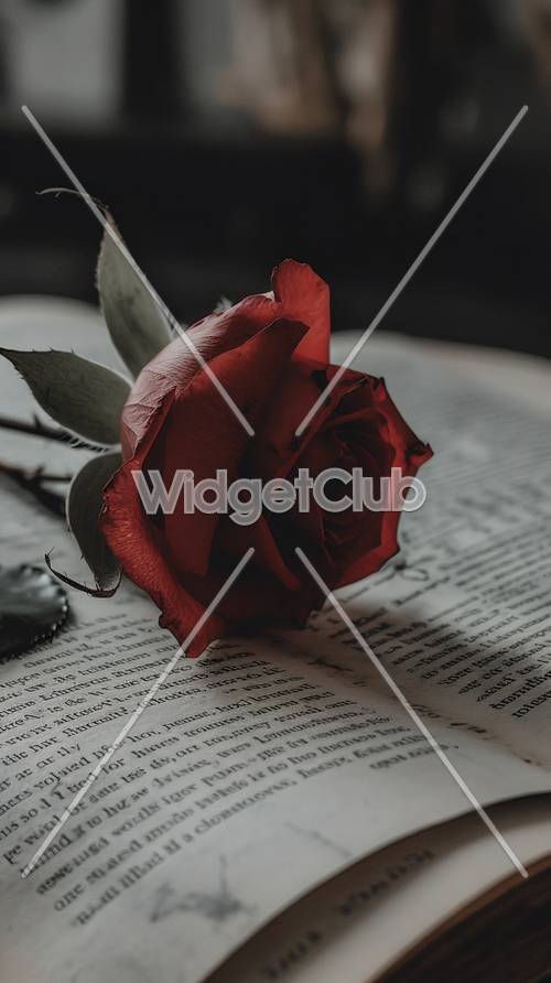 Bông hồng đỏ trên một trang sách