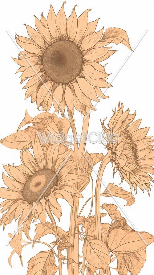 日本の太陽の花のスケッチアートの壁紙