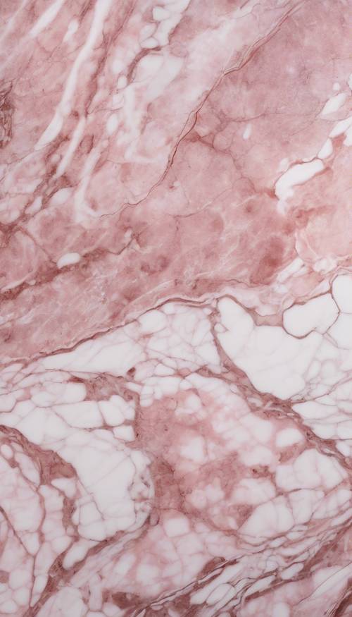 Una vista cercana del mármol rosa y blanco con patrones venosos.