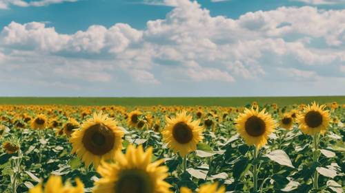 Un campo verde lleno de girasoles bajo un cielo azul claro, con una cita positiva.