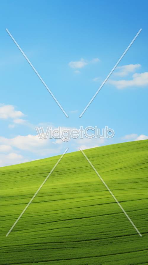 明るい緑の丘と青い空の壁紙