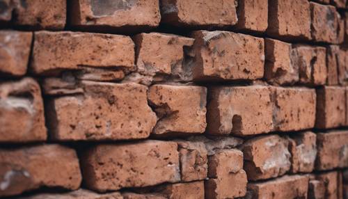 Brick Wallpaper [443af861503c432a97f4]