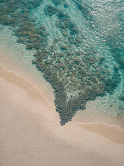 An aerial view of a heart-shaped coral reef off the shoreline of a sandy beach.