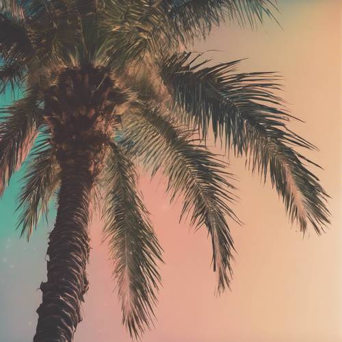 Vintage renk gradyanına sahip bir palmiye ağacının popüler sanat tarzı görüntüsü.