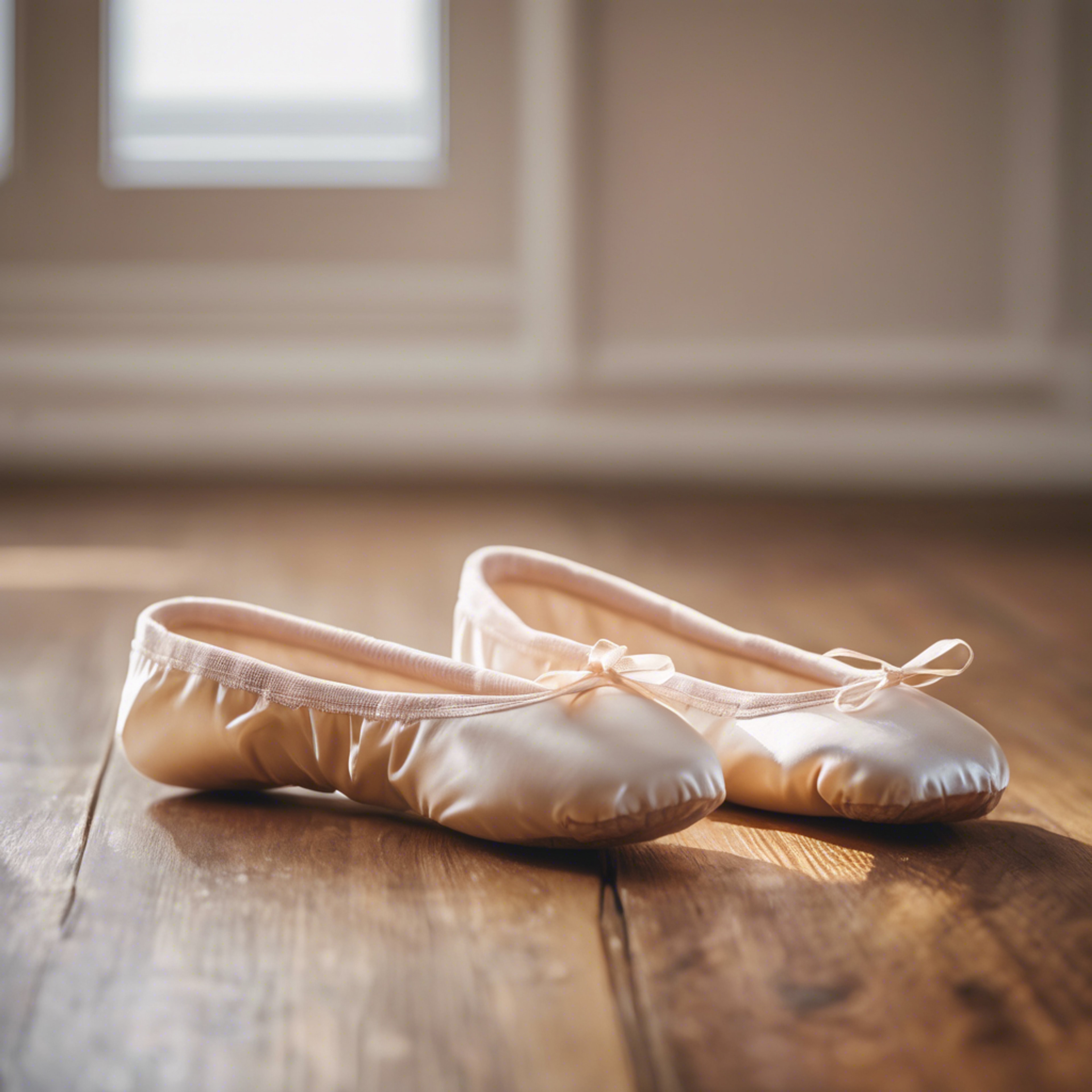 Close up of a pair of cream-colored ballet slippers on a hardwood floor. Tapeta[4efd7208256149a9b923]