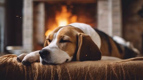 كلب بيغل عجوز متعب يغفو بجوار مدفأة دافئة ومطقوعة.