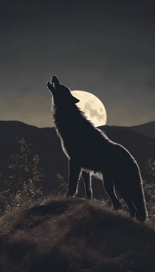 איש זאב בצללית מיילל בירח מלא על ראש גבעה.