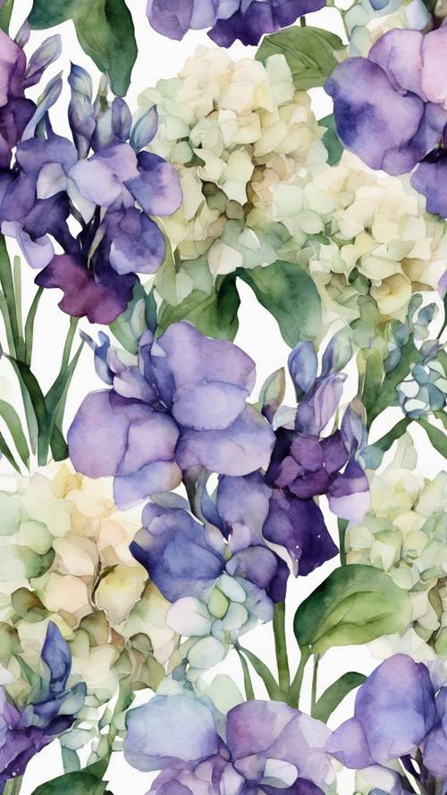 Un motivo floreale acquerello con morbide ortensie e iris viola.