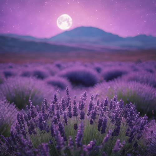 Marzycielska scena fioletowego księżyca wschodzącego nad łąką pokrytą dywanem lawendy.
