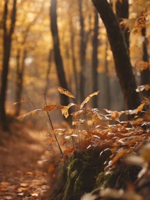 La imagen de un viento invisible susurrando a través de un bosque otoñal, con la leyenda &quot;La depresión es un lenguaje perdido&quot;.