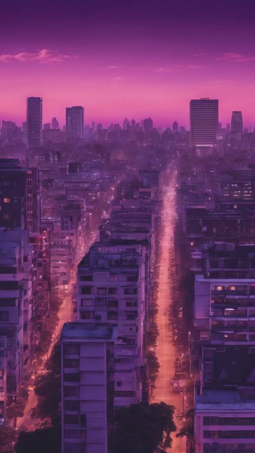 Um panorama do horizonte de uma cidade repleto de torres e edifícios kawaii roxos escuros durante o pôr do sol.