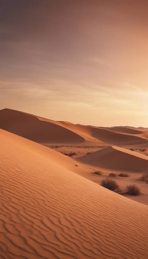 Une large scène panoramique d’un désert au coucher du soleil avec le ciel affichant un bel effet d’ombre brune.