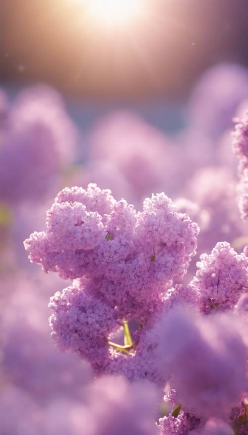 A fluffy lilac cloud in a clear sky scattered with sunlight like glitter. Tapet [62e71fc2cafe4a32beec]