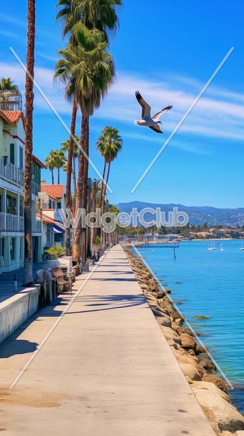 Sunny Coastal Promenade with Flying Seagull