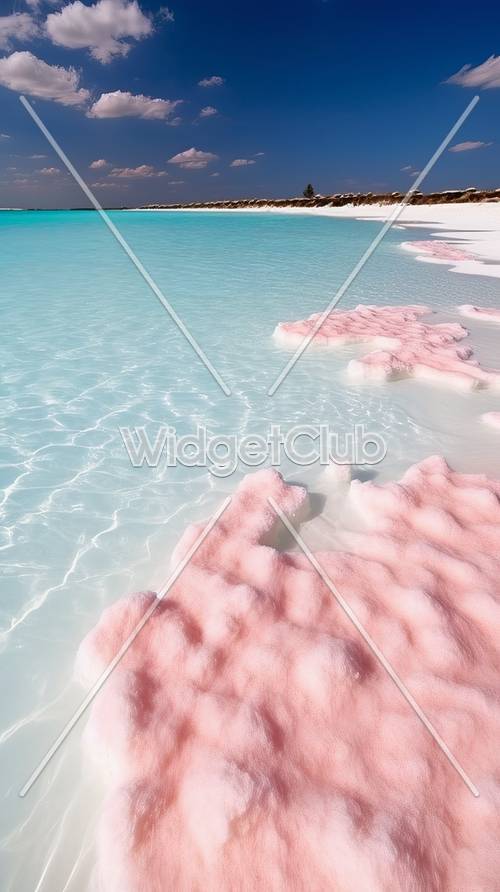 Pink Salt Lake Shoreline Scene