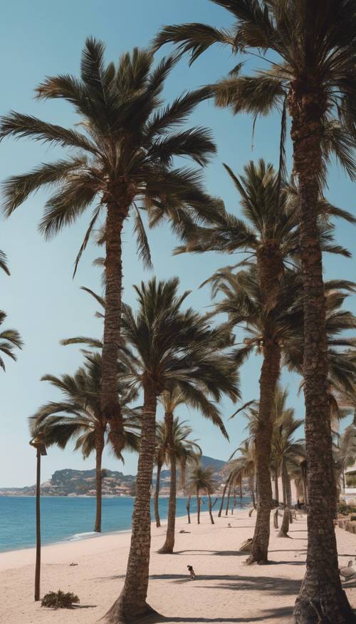 一个古雅、风景如画的海滨村庄，黑色的棕榈树点缀着天际线。
