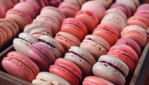 A tray of macarons in varying shades of light red and pink.