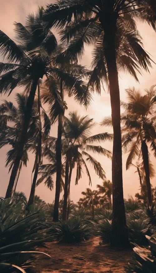 Odkryty surrealistyczny obcy świat, naznaczony ciemnymi czarnymi palmami stojącymi na tle luminescencyjnej flory.