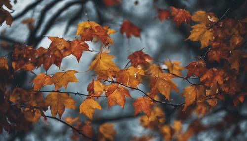 Una serie di foglie dai colori autunnali, che cadono dai rami contro un cielo scuro e tempestoso.