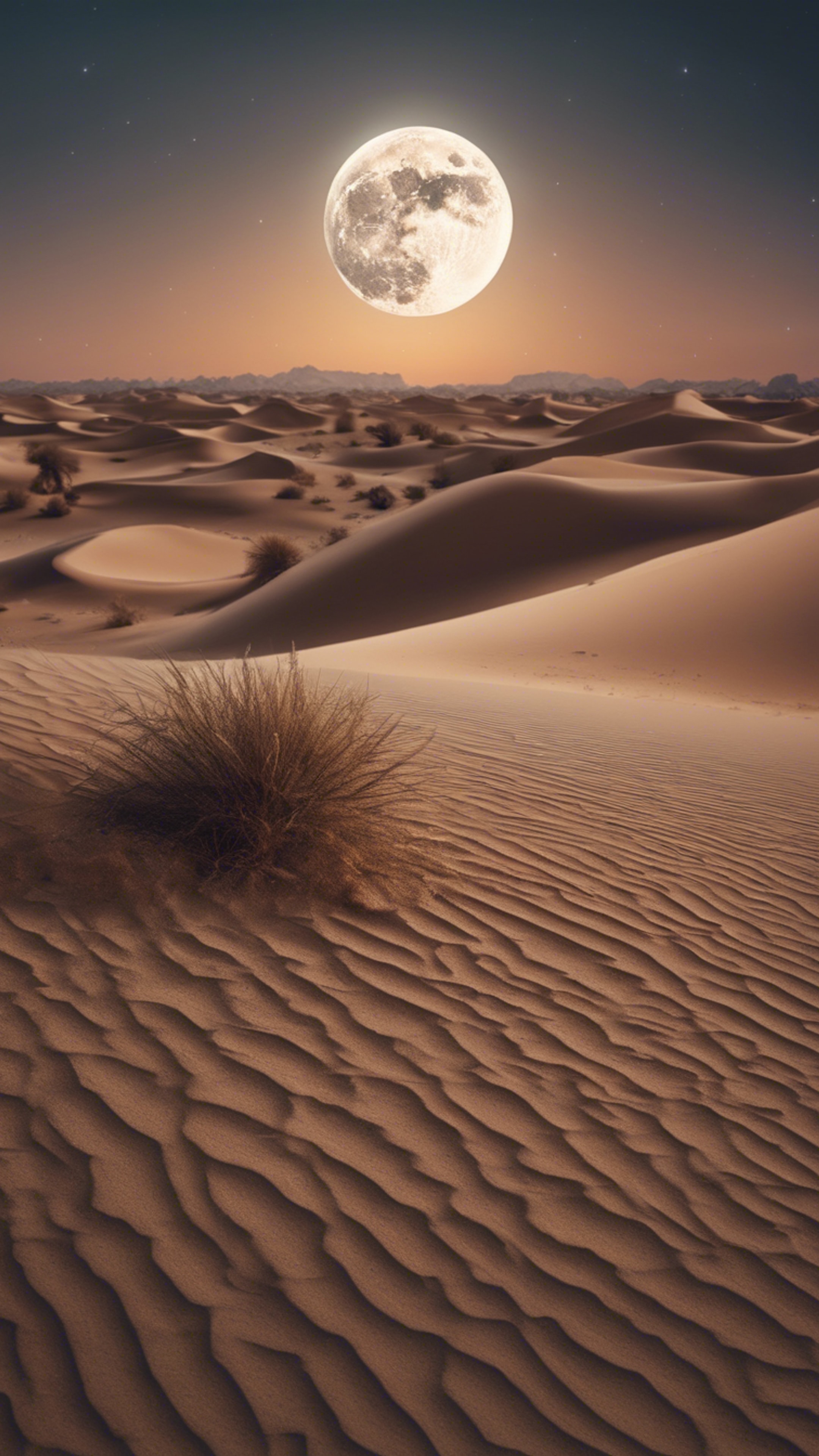 Beautiful image of desert terrain shot under the stunning light of a full moon. Wallpaper[12f6926b5d2b4ca6a1af]