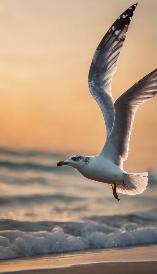 Uma gaivota voando sobre um oceano cintilante ao pôr do sol, com uma praia tranquila ao fundo.