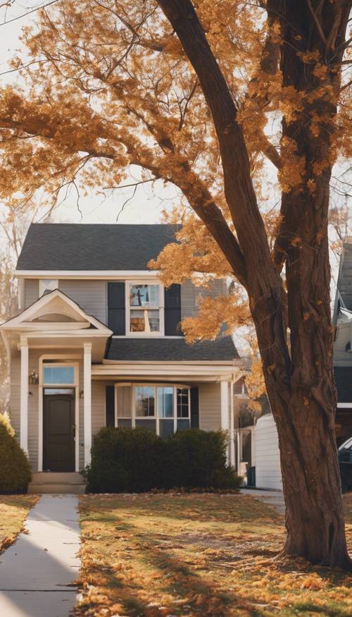 Une vue standard des banlieues américaines décorées pour Thanksgiving.