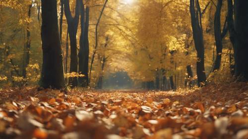 Una tranquila escena de bosque de principios de otoño, con &#39;La naturaleza no tiene prisa, pero todo se logra&#39; flotando en las hojas que caen.