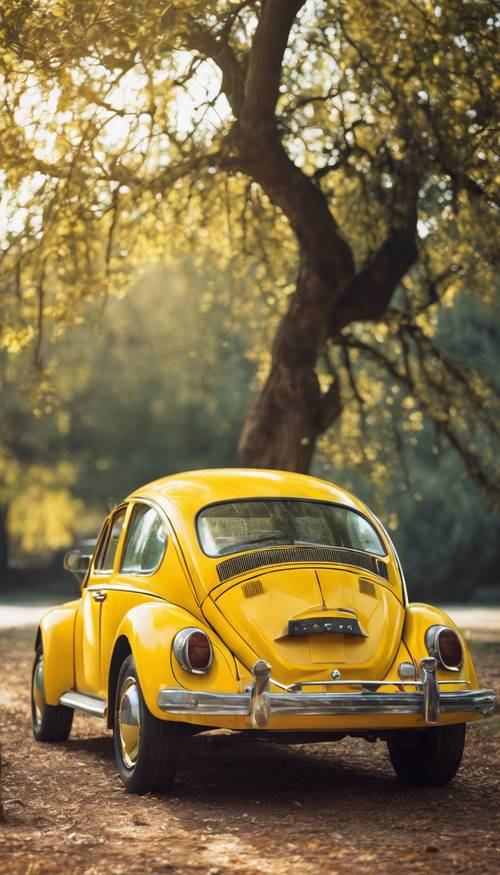 Um velho Volkswagen Beetle amarelo estacionado sob uma árvore iluminada pelo sol.