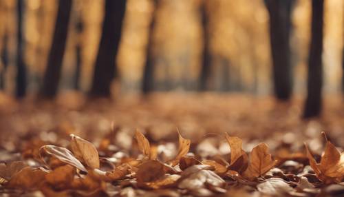Pola daun coklat berjatuhan di hutan musim gugur yang tenang.