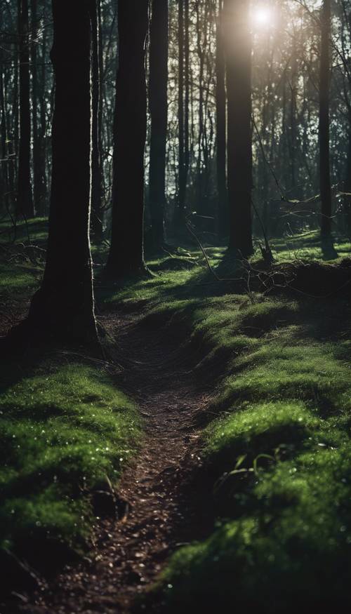 Uma clareira escura na floresta, onde o luar lança sombras longas e monstruosas na grama.