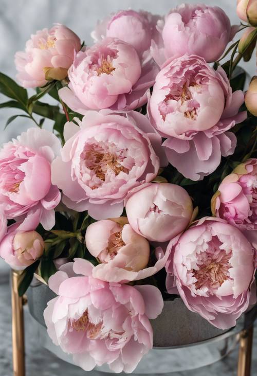 An array of baby pink peonies decorating a modern metallic coffee table.