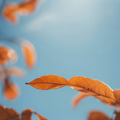 Изолированный оранжевый лист, плавающий в ясном голубом небе.