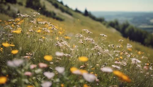Una rappresentazione vintage di una collina ricoperta di fiori di campo sotto un cielo limpido e luminoso.