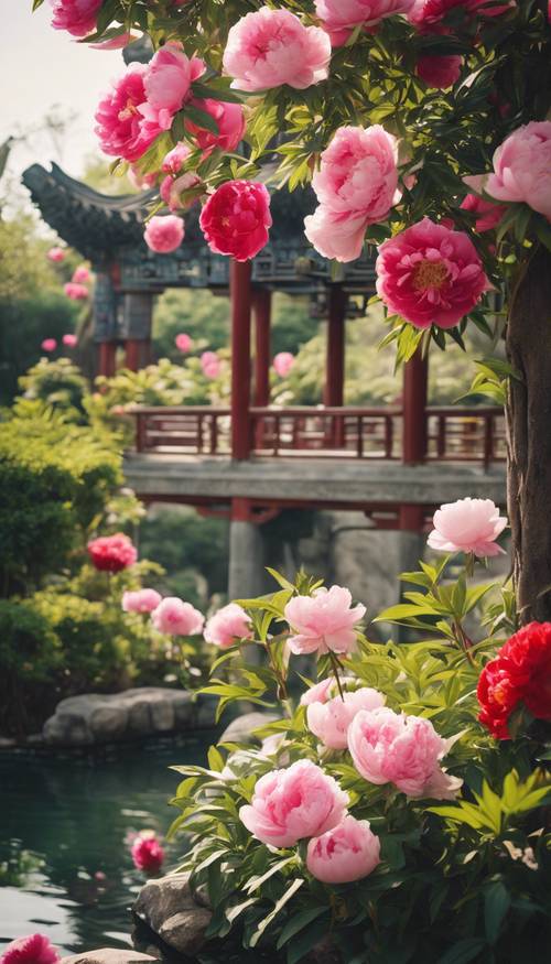 Пышный китайский сад в полном цвету с яркими пионами под полуденным солнцем.