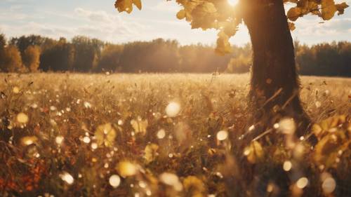 Autumn equinox celebration in a meadow on a sunny September day