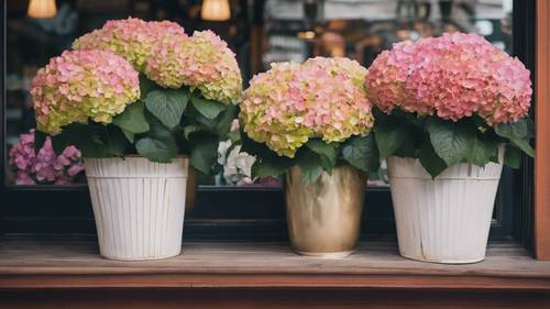 Des pots de généreux bouquets d&#39;hortensias égayent une charmante devanture de magasin.